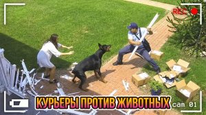 КУРЬЕРЫ ПРОТИВ ЖИВОТНЫХ! ОКЕАН ЮМОРА!