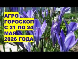 21-24 мая 2026: какие работы в саду и на огороде  принесут урожай?!