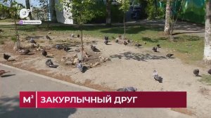 Квадратные метры / Проблемное соседство / 19.05.26
