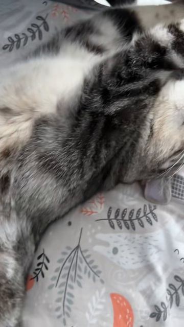 Будем рады подписке ❤️