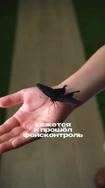 Вы: «В этом году без отпуска»… Мы: «Держите джунгли, пока никто не видит» 😇 смотреть онлайн