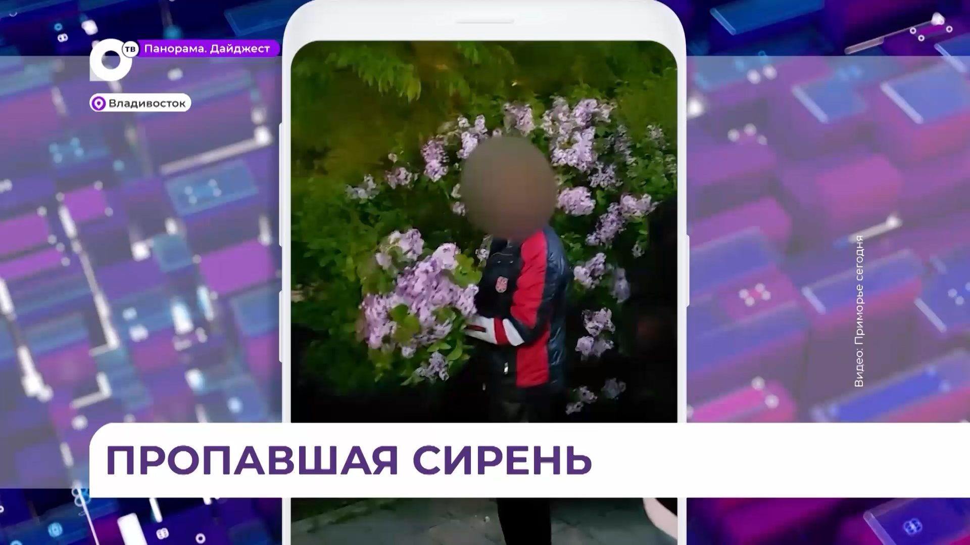 Цветочные вандалы стали настоящей головной болью для городских служб Владивостока