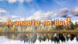 А знаете ли вы?