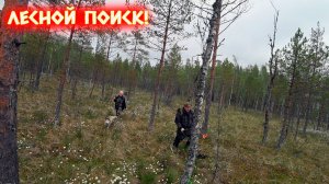 ТРУДНОДОСТУПНЫЕ МЕСТА!!! ИЩЕМ МЕТАЛЛОЛОМ НА ОСТРОВАХ СРЕДИ БОЛОТ!!!