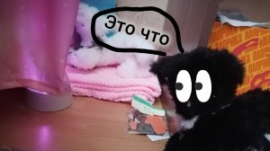 Построила тайную комнату для эли 🌷😽продолжение на 30 лайков❤думаю наберем