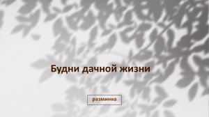 Дачная жизнь