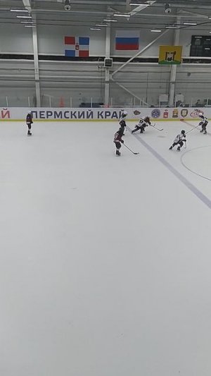 Я в хоккее