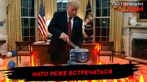 Нато реже встречаться