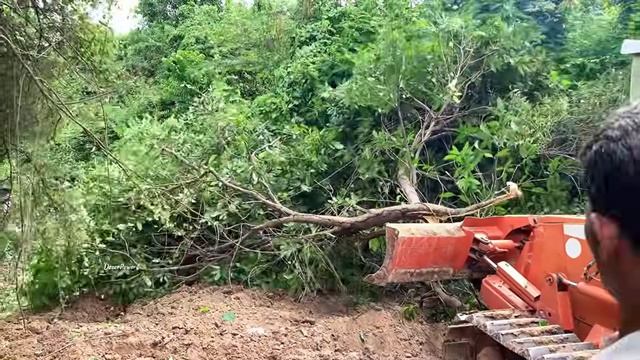 Small But Mighty! Komatsu D20P Ripping Through Dirt and Trees смотреть онлайн