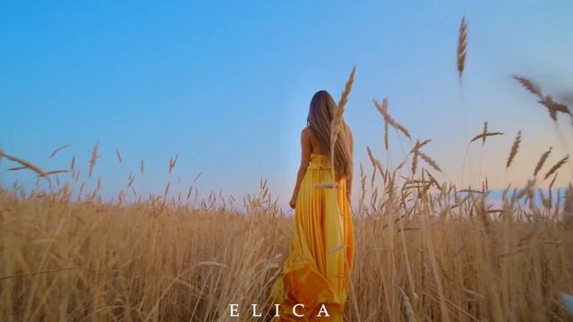 Elica - City Of Neon
