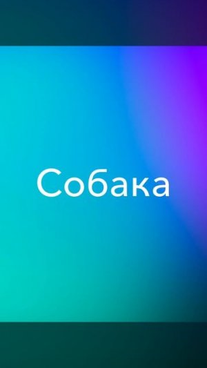 Если воет собака