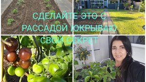 Vlog 🇩🇪 ЖИЗНЬ В ГЕРМАНИИ НАША ДАЧА 🏕ЗДЕЛАЙТЕ КАК /Томаты будут расти как Бешеные/Посадка томатов