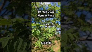 19 мая 2026 #гороскопсегодня