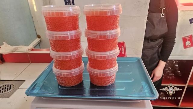 Ростовская полиция пресекла незаконную продажу икры и вернула в естественную среду более 2000 раков