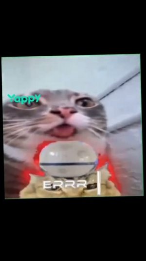 Эдит с котами