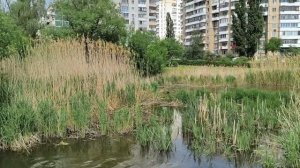 Природный релакс 19.05.26.