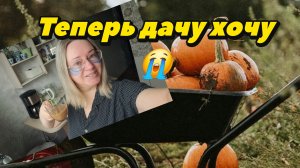 Ну все! Теперь дачу хочу 😭😭😭