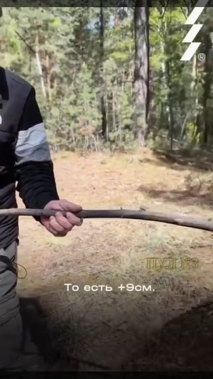 Самый длинный муравейник в России — на Алтае

Маленькие неутомимые трудяги установили настоящий ре