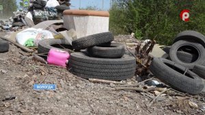 Проблемы с вывозом мусора в Вологодской области