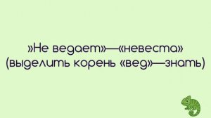 Лингвасфера: занимательная этимология