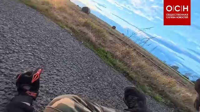 В социальных сетях завирусилось видео неожиданного прыжка зайца на водителя скутера в Венгрии.