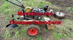 Мотоблок Ока - от фрезерования до посадки картофеля.