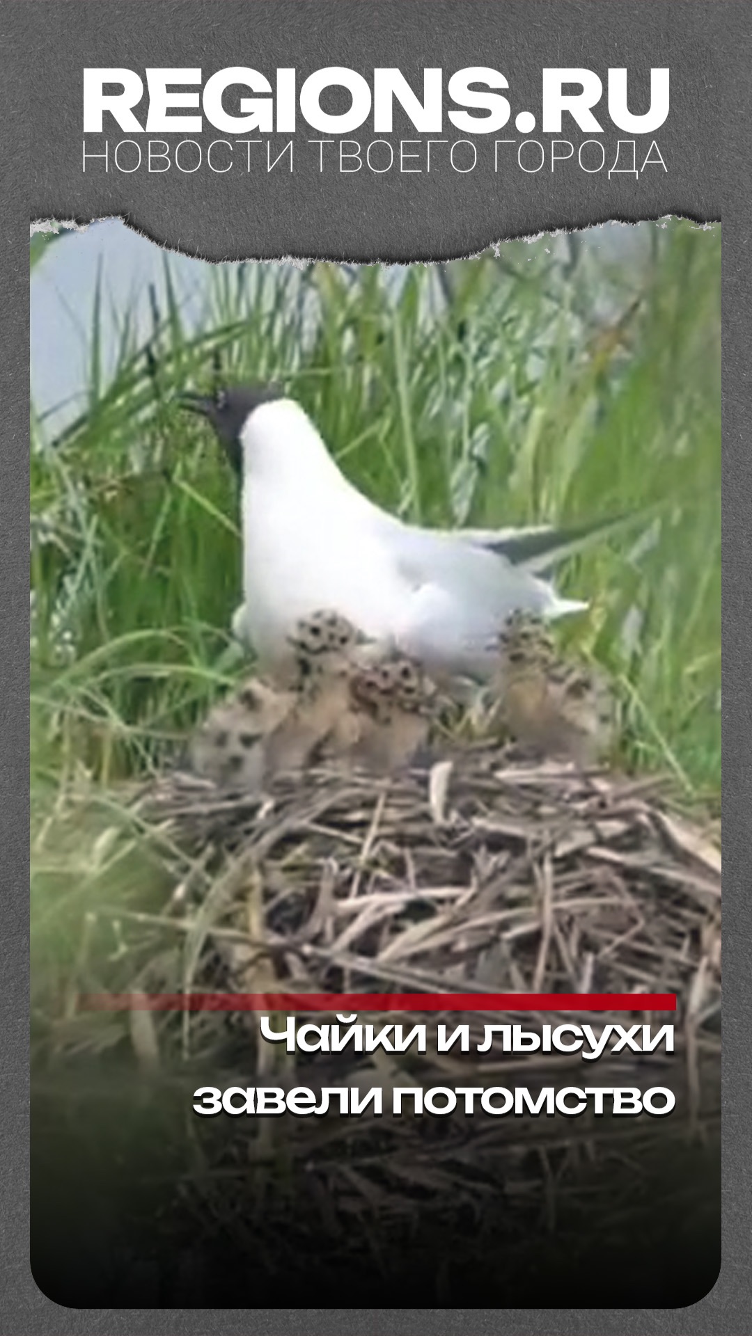 Волшебный закат