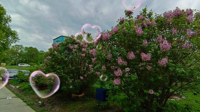 Держитесь за руки сильнее
