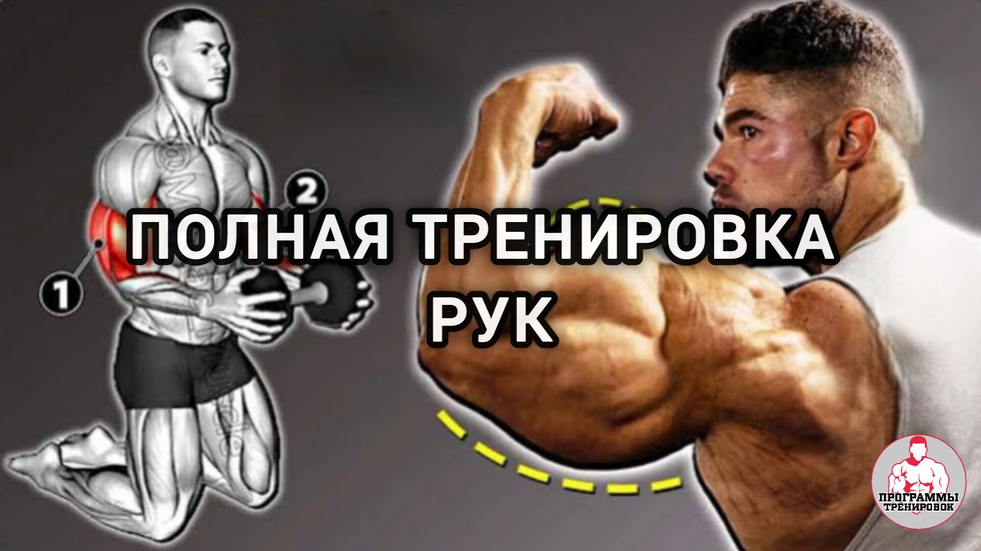 Полная тренировка рук