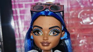 прекраснейшая Кукла (Monster high Robecca) Робекка Стим Базовая G3 с питомцем
