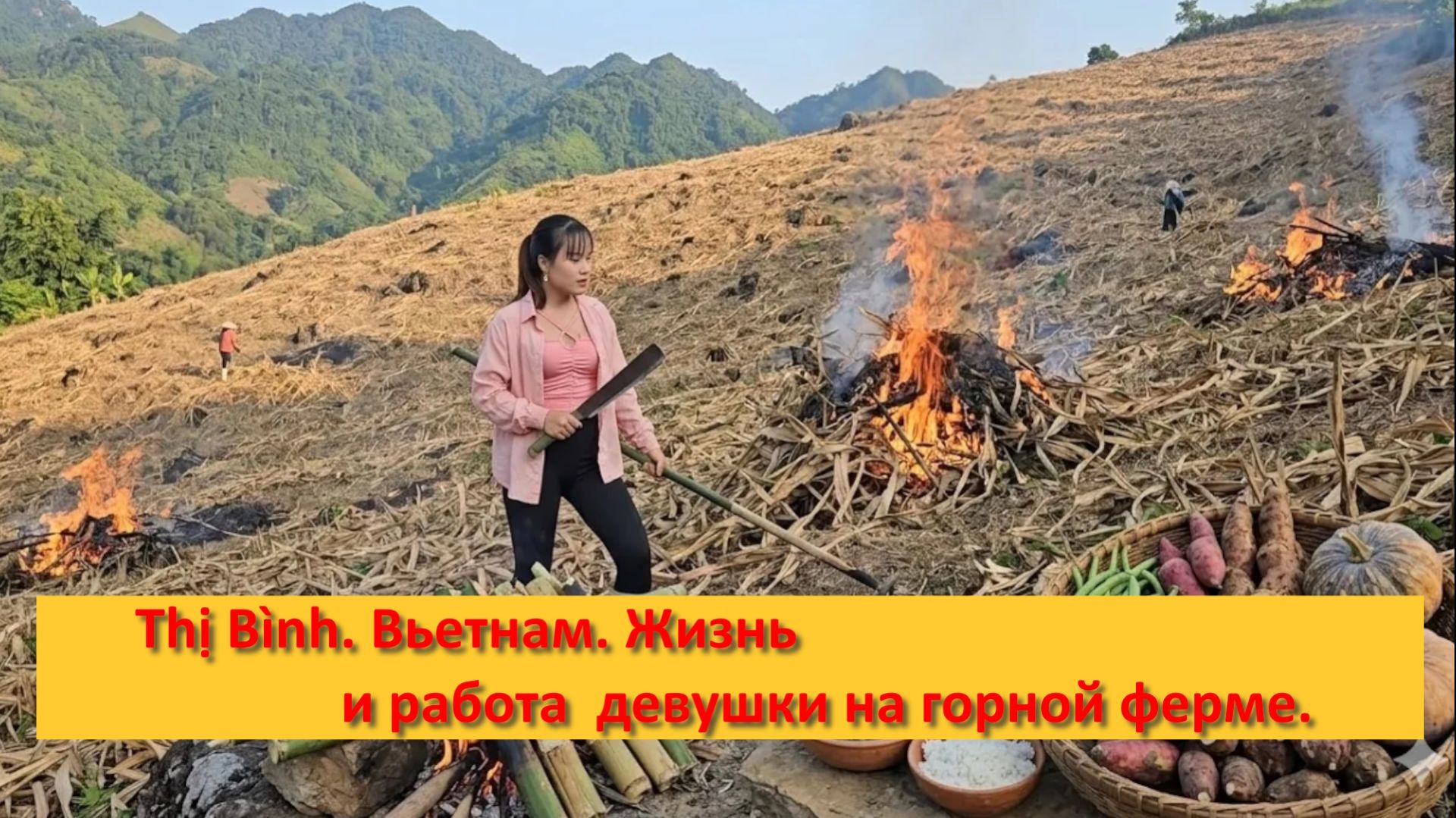 Thị Bình. Вьетнам. Жизнь и работа  девушки на горной ферме.