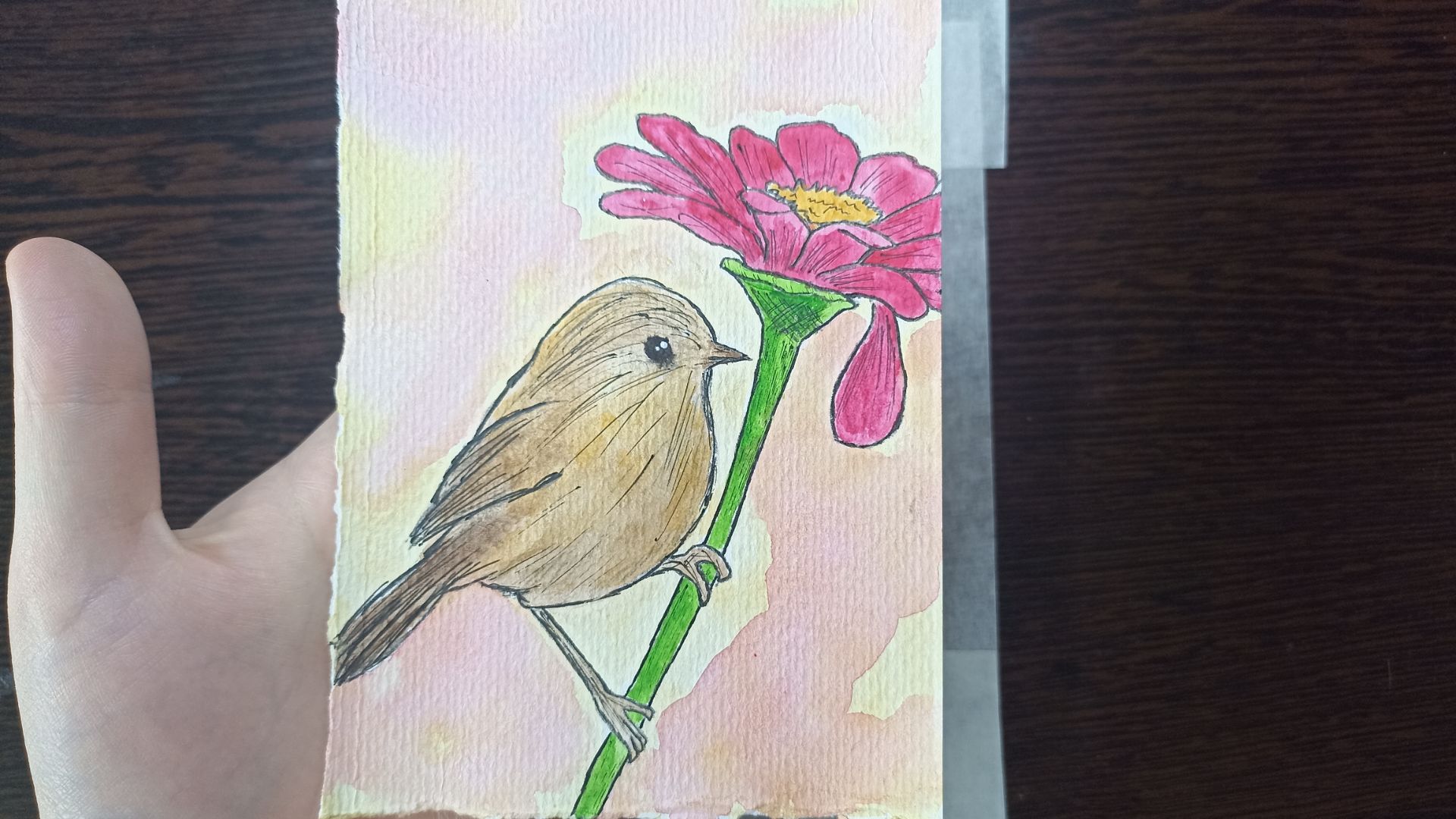 Рисунок акварелью / Птичка