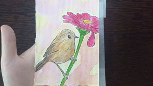 Рисунок акварелью / Птичка