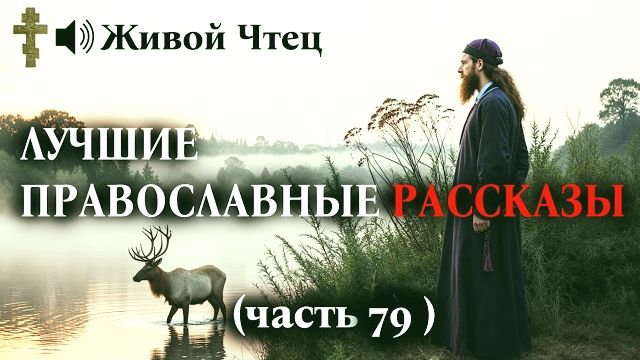 ТЫ МНЕ БОЛЬШЕ НЕ ДОЧЬ КРИЧАЛА ОНА ЛУЧШИЕ ПРАВОСЛАВНЫЕ РАССКАЗЫ часть 79 смотреть онлайн