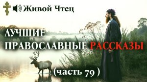 ТЫ МНЕ БОЛЬШЕ НЕ ДОЧЬ КРИЧАЛА ОНА ЛУЧШИЕ ПРАВОСЛАВНЫЕ РАССКАЗЫ часть 79