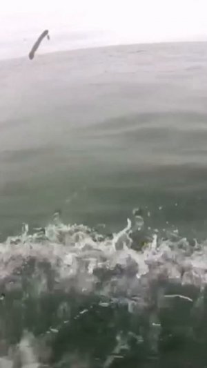 холодное море