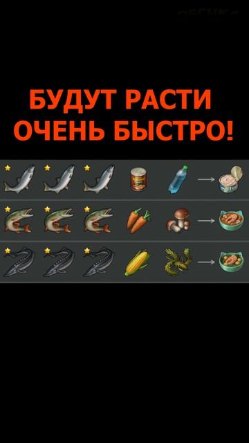 3 НОВЫХ РЕЦЕПТА ДЛЯ КОТЯТ! 🐱 LDOE