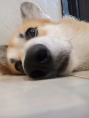 эфир