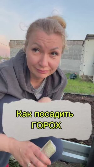 Любите горох?