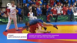 Без комментариев / Кубок по самбо / 19.05.26