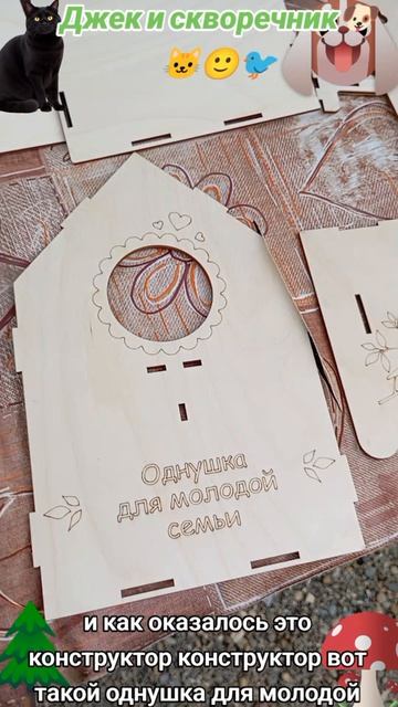 Джек и скворечник-1🐶🐱🐦🙂