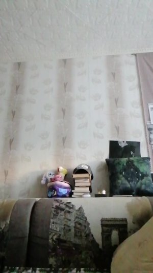 Чтение романа