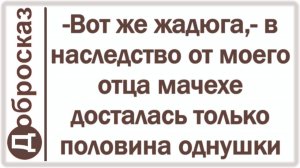 -Вот же жадюга,- в наследство от моего отца мачехе досталась только половина однушки