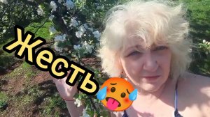 ЖАРА Накрыла! Животные СТРАДАЮТ‼️