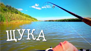 РЫБАЛКА на реке!ЛОВЛЯ ЩУКИ и ОКУНЯ в Астраханской области!!