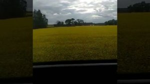 Untitled video 01230226