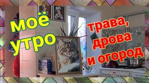 Переехали на юг, живем у моря♥️Мое утро. Трава, дрова и огород. Ремонты Олега.