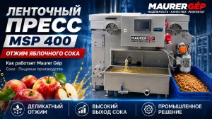 Ленточный пресс для отжима сока Маурер Гип/ Maurer GEP MSP 400  в работе