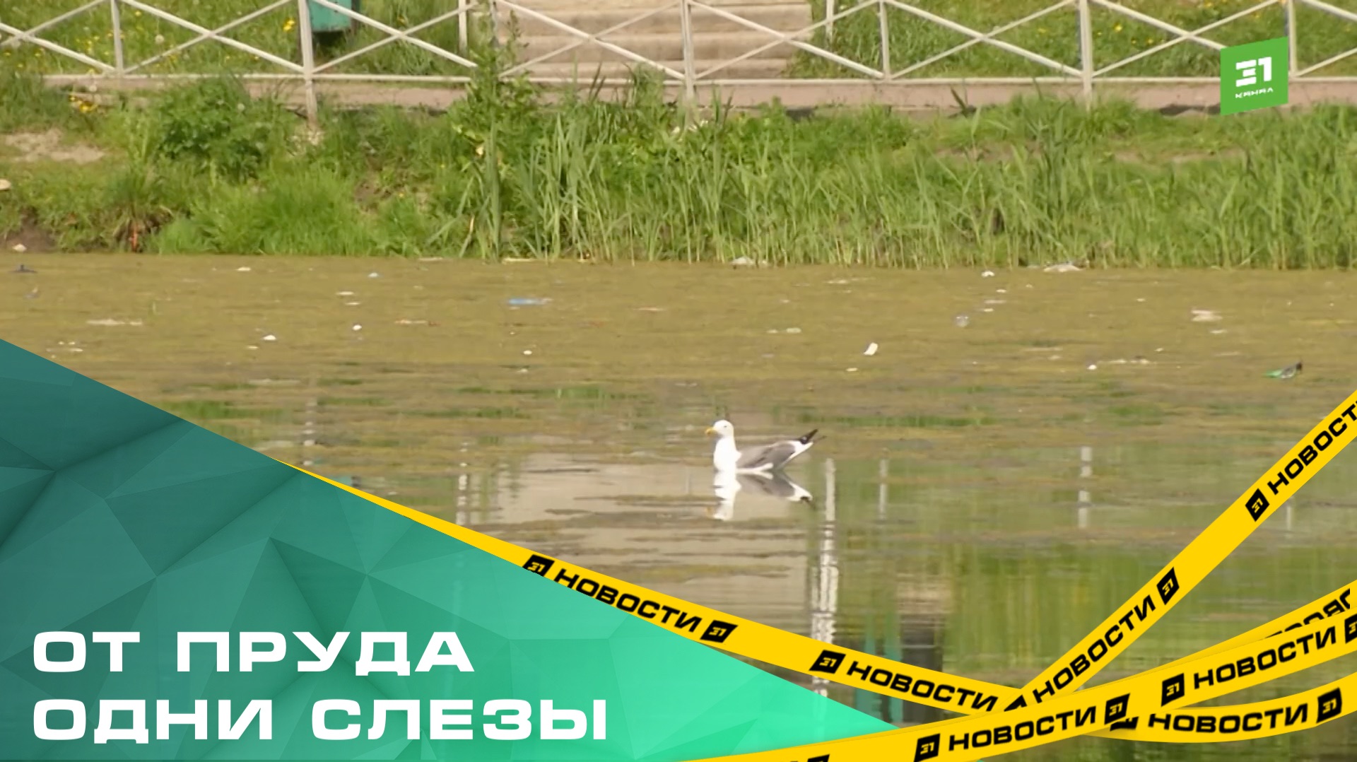 От пруда одни слезы. Жители Ленинского района «плачут» от состояния любимого водоема