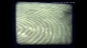 Поперечные и продольные волны